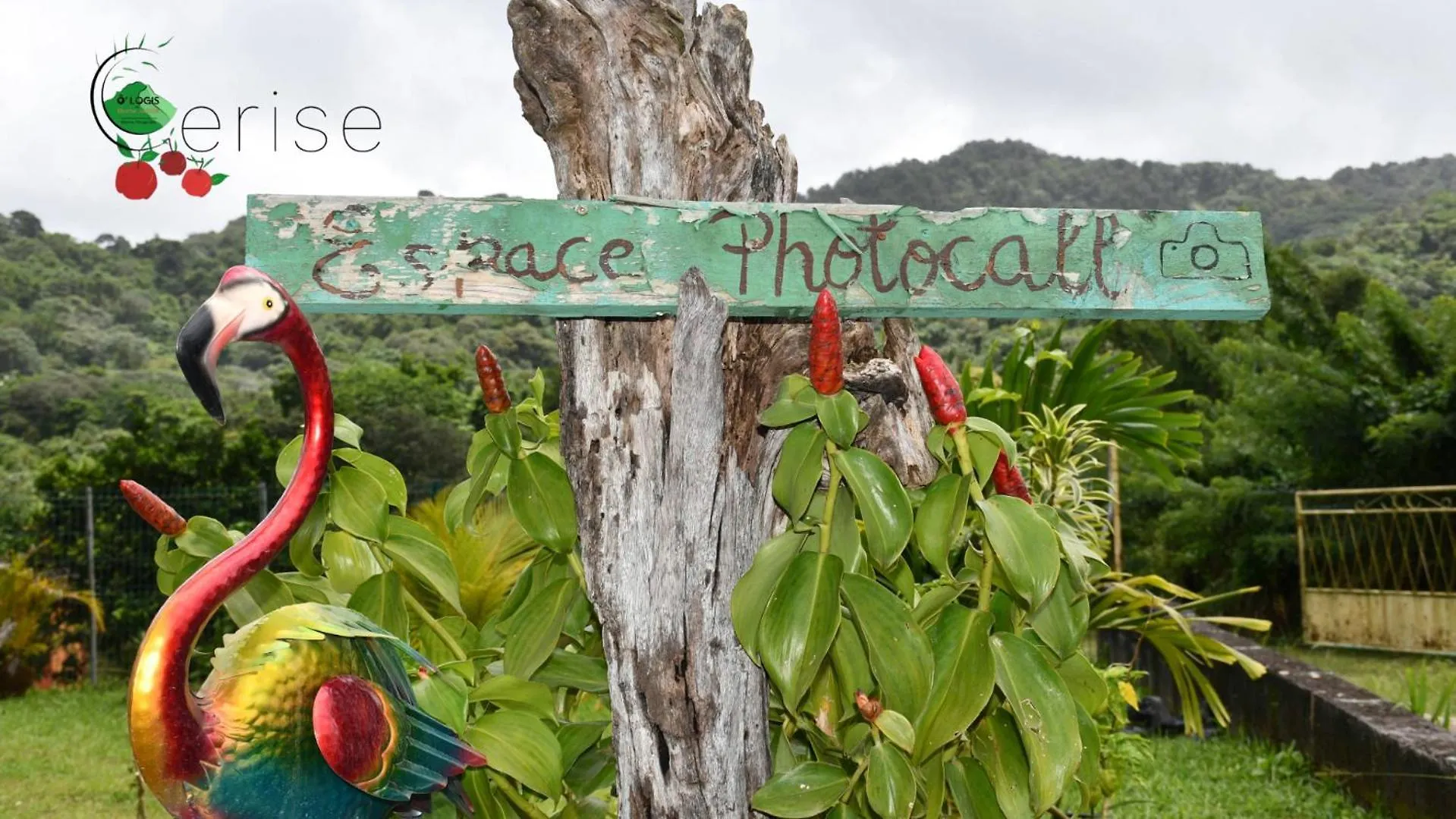 شقة O Logis Du Morne Jacob 